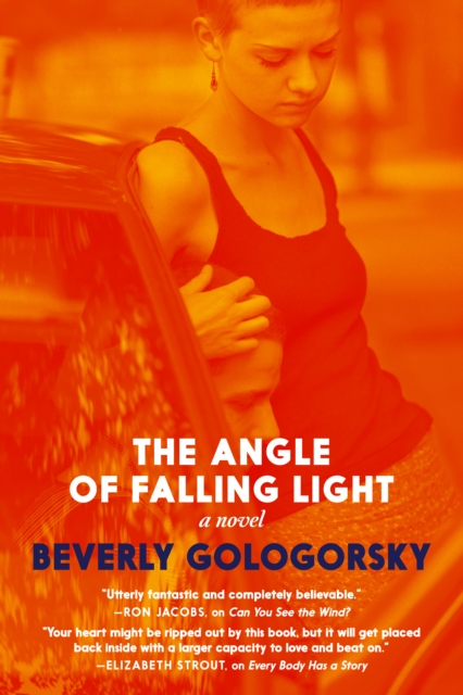 Angle of Falling Light - Beverly Gologorsky