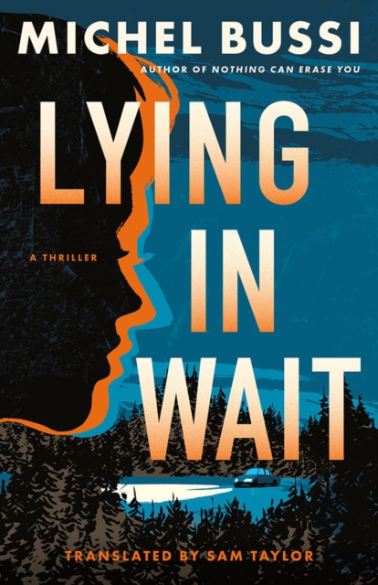 Lying in Wait - Michel Bussi