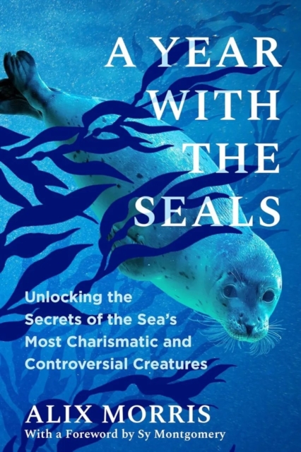 Year with the Seals - Alix Morris