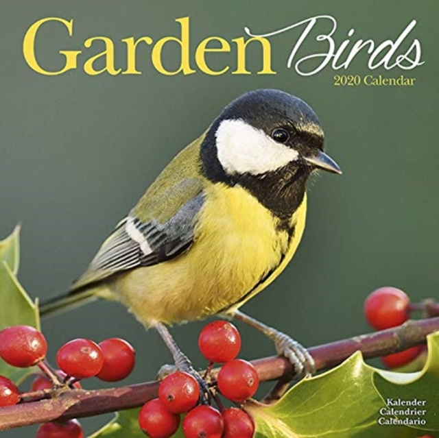 Garden Birds Calendar 2020 - 