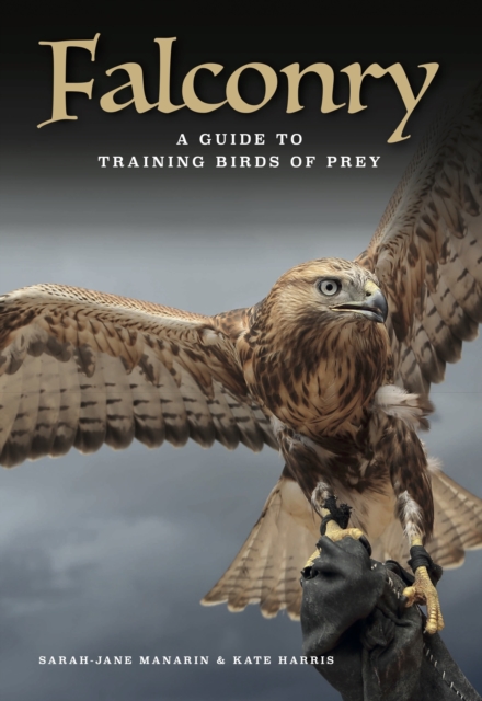 Falconry - Sarah-jane|harris Manarin