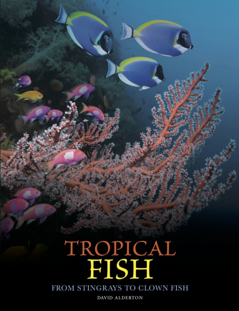 Tropical Fish - David Alderton