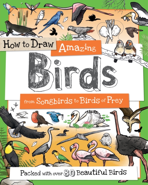 How To Draw Amazing Birds - 