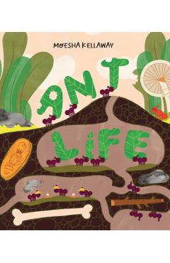 Coperta cărții 'Ant Life - Moesha Kellaway'