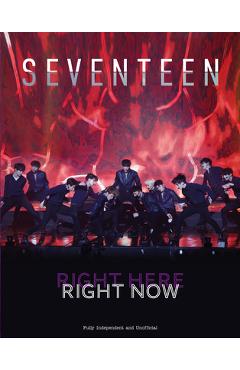 Poza produsului Seventeen: Right here, Right now - Carolyn Mchugh