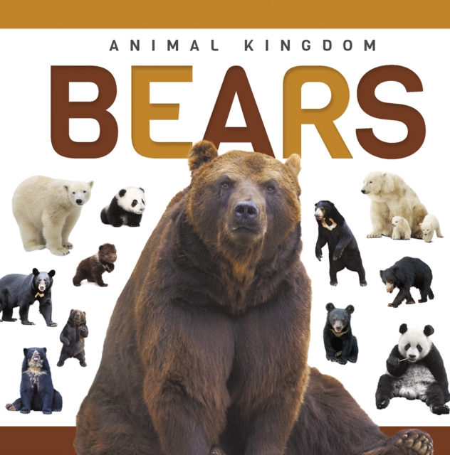 Bears - Alex Hall