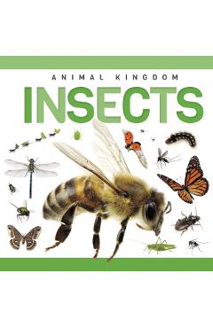 Poza produsului Insects - Rebecca Phillips-bartlett