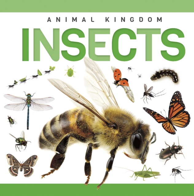 Insects - Rebecca Phillips-bartlett