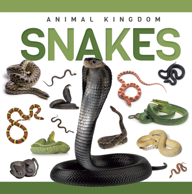 Snakes - Rebecca Phillips-bartlett