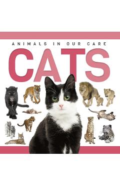 Poza produsului Cats - Rebecca Phillips-bartlett