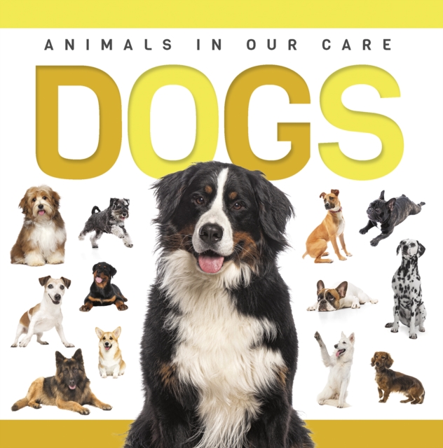 Dogs - Eliza Nodes