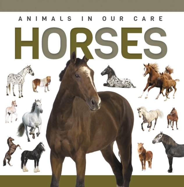 Horses - Alex Hall