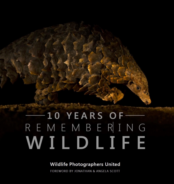 Ten Years of Remembering Wildlife - 