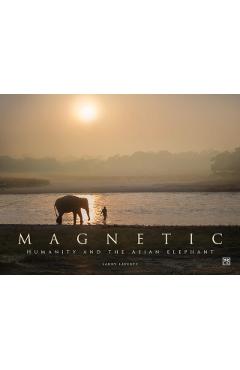 Coperta cărții 'Magnetic - Larry Laverty'