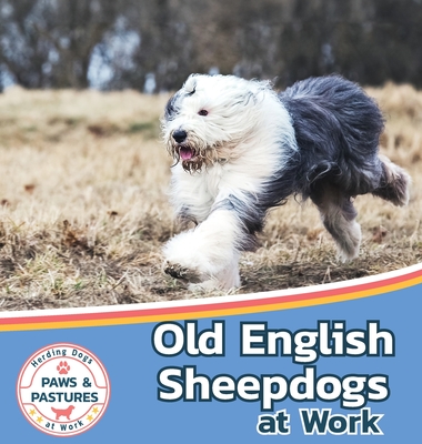 Old English Sheepdogs at Work - Sabrina Lakes