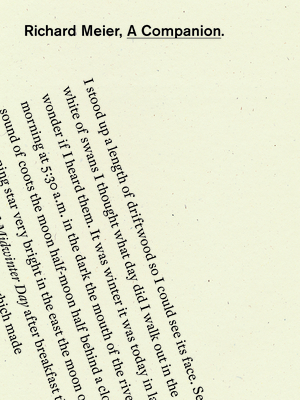 A Companion - Richard Meier