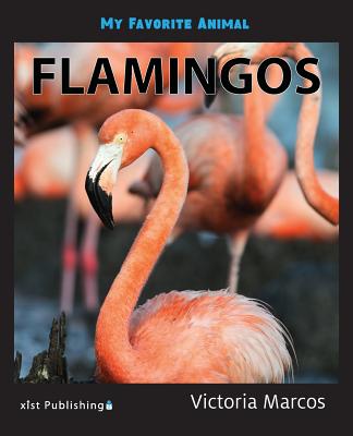 My Favorite Animal: Flamingos - Victoria Marcos