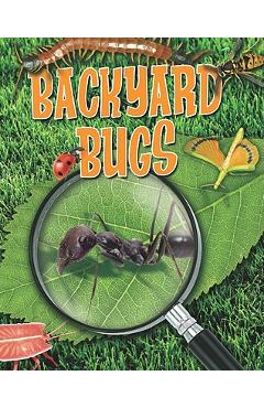 Coperta cărții 'Backyard Bugs - Louise A. Spilsbury'