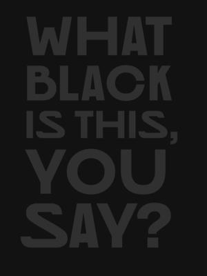 Coperta cărții 'What Black Is This You Say? - Amanda Williams'