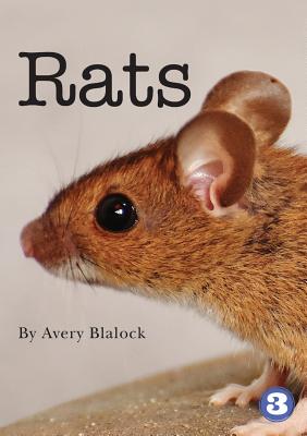 Rats - Avery Blalock