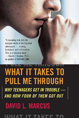 What It Takes to Pull Me Through: Why Teenagers Get in Trouble and How Four of Them Got Out - David L. Marcus