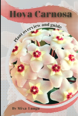 Hoya Carnosa: Plant overview and guide - Mixa Lungu