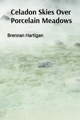 Celadon Skies Over Porcelain Meadows: A Ceramicist's Odyssey Through Form, Texture, and Translucence - Brennan Hartigan