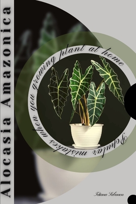 Alocasia Amazonica: Popular mistakes when you growing PLANT at home - Tetiana Sabanen