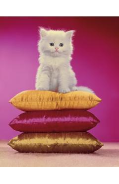 Chromotherapia: Feel-Good Color Photography - Maurizio Cattelan