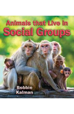 Coperta cărții 'Animals That Live in Social Groups - Bobbie Kalman'