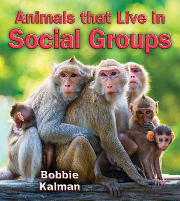 Coperta cărții 'Animals That Live in Social Groups - Bobbie Kalman'