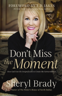 Don't Miss the Moment: How God Uses the Insignificant to Create the Extraordinary - Sheryl Brady