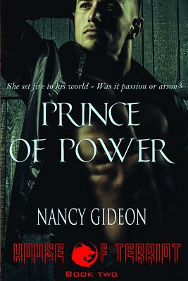 Prince of Power - Nancy Gideon