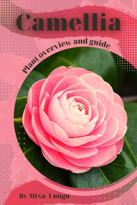 Camellia: Plant overview and guide - Mixa Lungu
