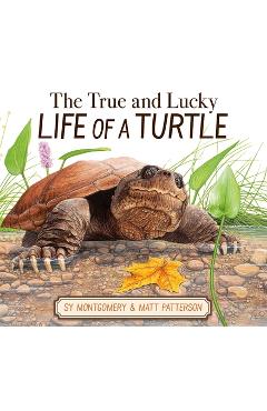 Poza produsului The True and Lucky Life of a Turtle - Sy Montgomery