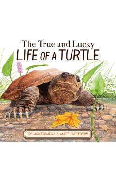 The True and Lucky Life of a Turtle - Sy Montgomery