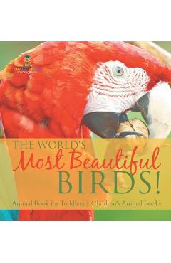 Coperta cărții 'The World's Most Beautiful Birds! Animal Book for Toddlers Children's Animal Books -'