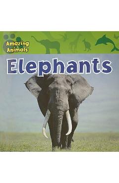 Coperta cărții 'Elephants - Sarah Albee'