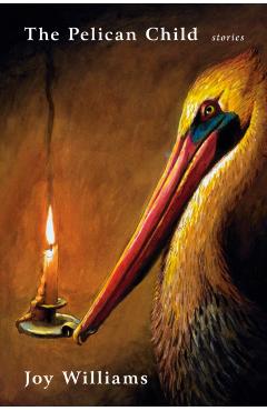 The Pelican Child: Stories - Joy Williams