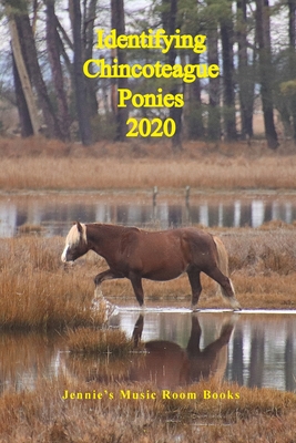 Identifying Chincoteague Ponies 2020 - Gina Aguilera
