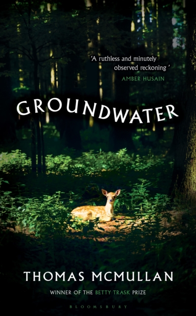 Groundwater - Thomas Mcmullan