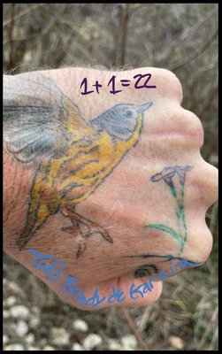 1+1= 22: The Math of God - Todd Brady De Garcia