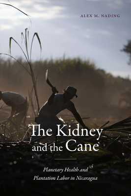 The Kidney and the Cane: Planetary Health and Plantation Labor in Nicaragua - Alex M. Nading