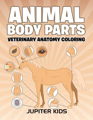 Animal Body Parts: Veterinary Anatomy Coloring - 