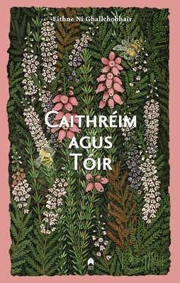 Caithreim Agus Toir - Eithne Ní Ní Ghallchobhair