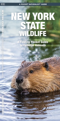 New York State Wildlife: A Folding Pocket Guide to Familiar Animals - 