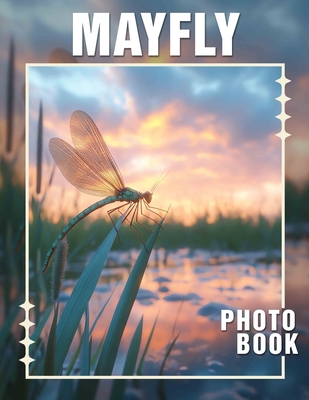 Mayfly Photo Book: Stunning Photography Capturing The Lifecycle Of Beautiful Insects And Nature's Wonders - Sapphire Pearce