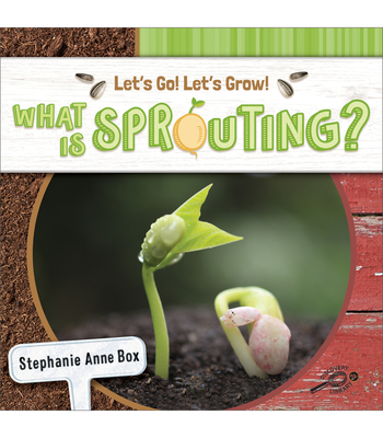 What Is Sprouting? - Stephanie Anne Box