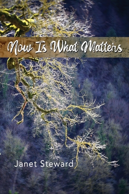Now Is What Matters - Janet Steward
