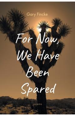 Coperta cărții 'For Now, We Have Been Spared - Gary Fincke'